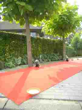 Red round shape