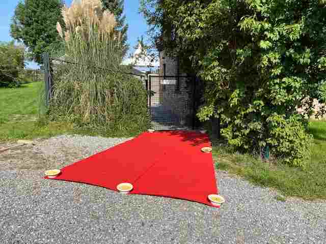 Red round shape